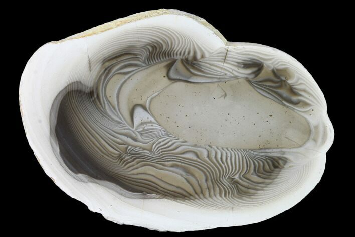 Polished, Striped Flint Slab - Poland #149905